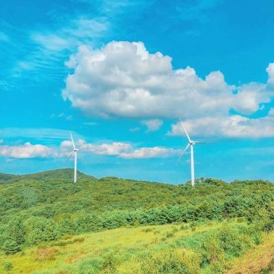 小米赛车网易版下载